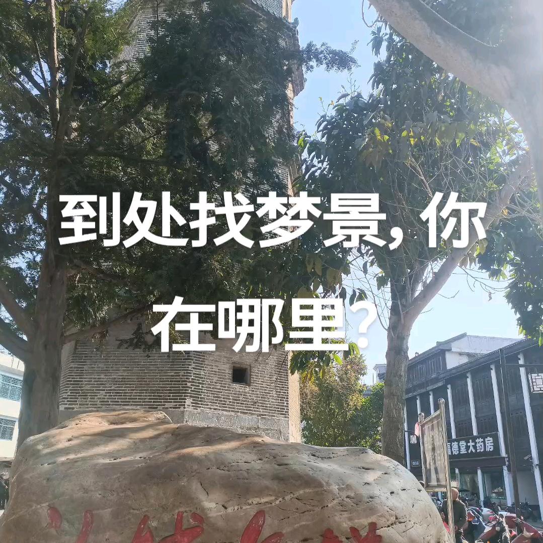 痴迷梦景2《su》