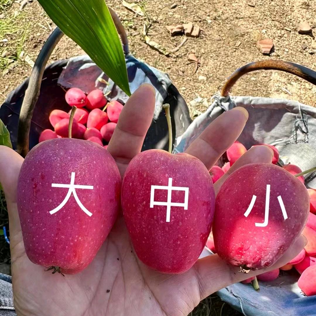 刘兴梅农副产品优品铺