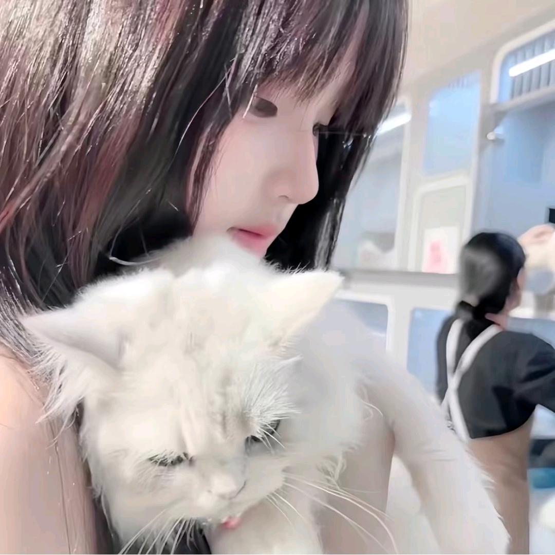 小帅别绿我^
