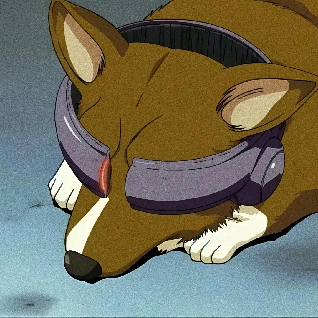 跑都跑的那么帅