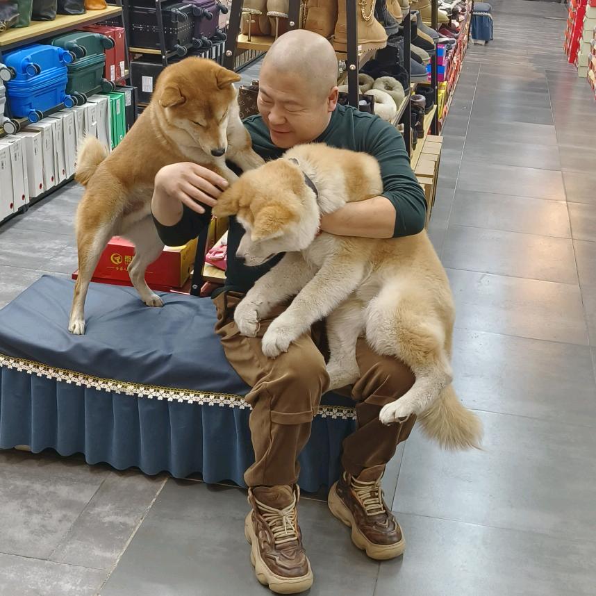 半道刘主任日常生活
