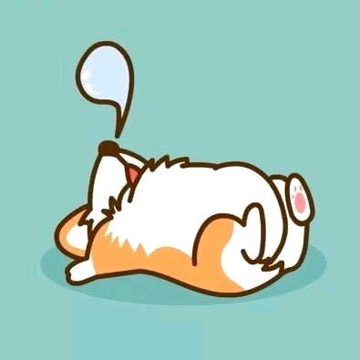 王🐰🐾