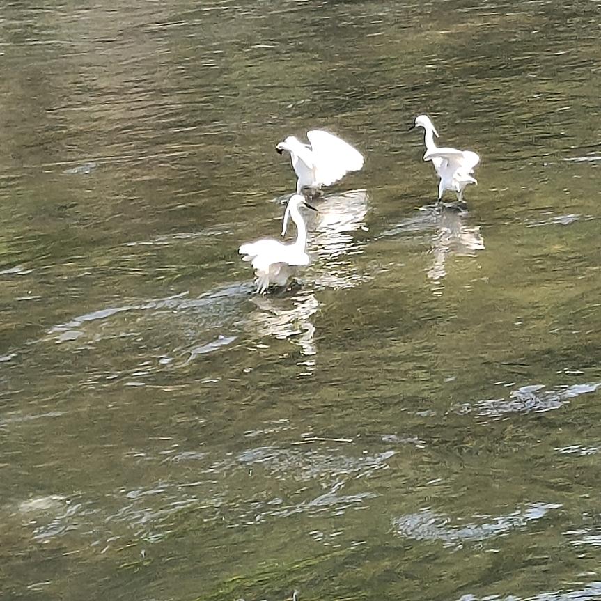 人不范我，我不范人，