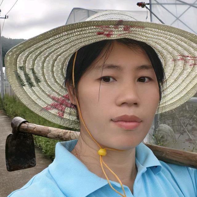 秋雨小院（江西赣州）