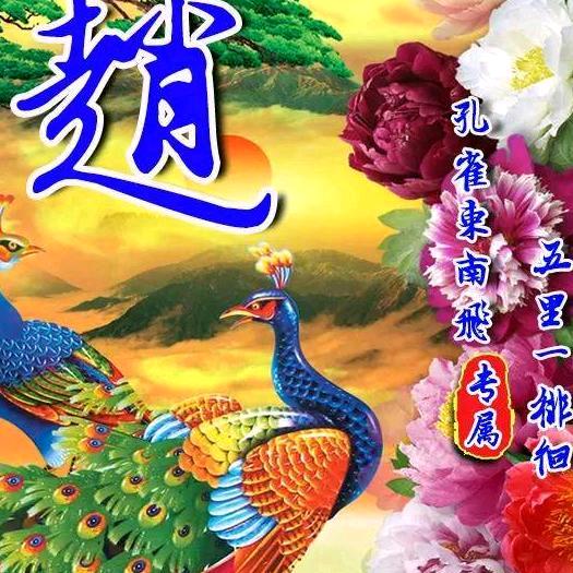 飞天猫