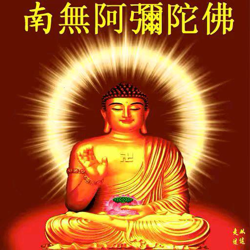 张兔兔～628～忠爱一生