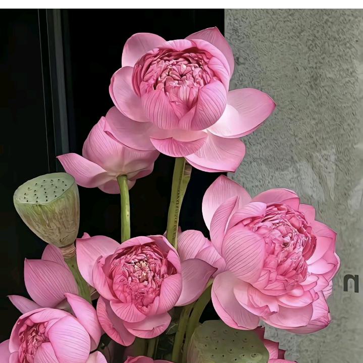 闭关❤️💘💞💗烦恼