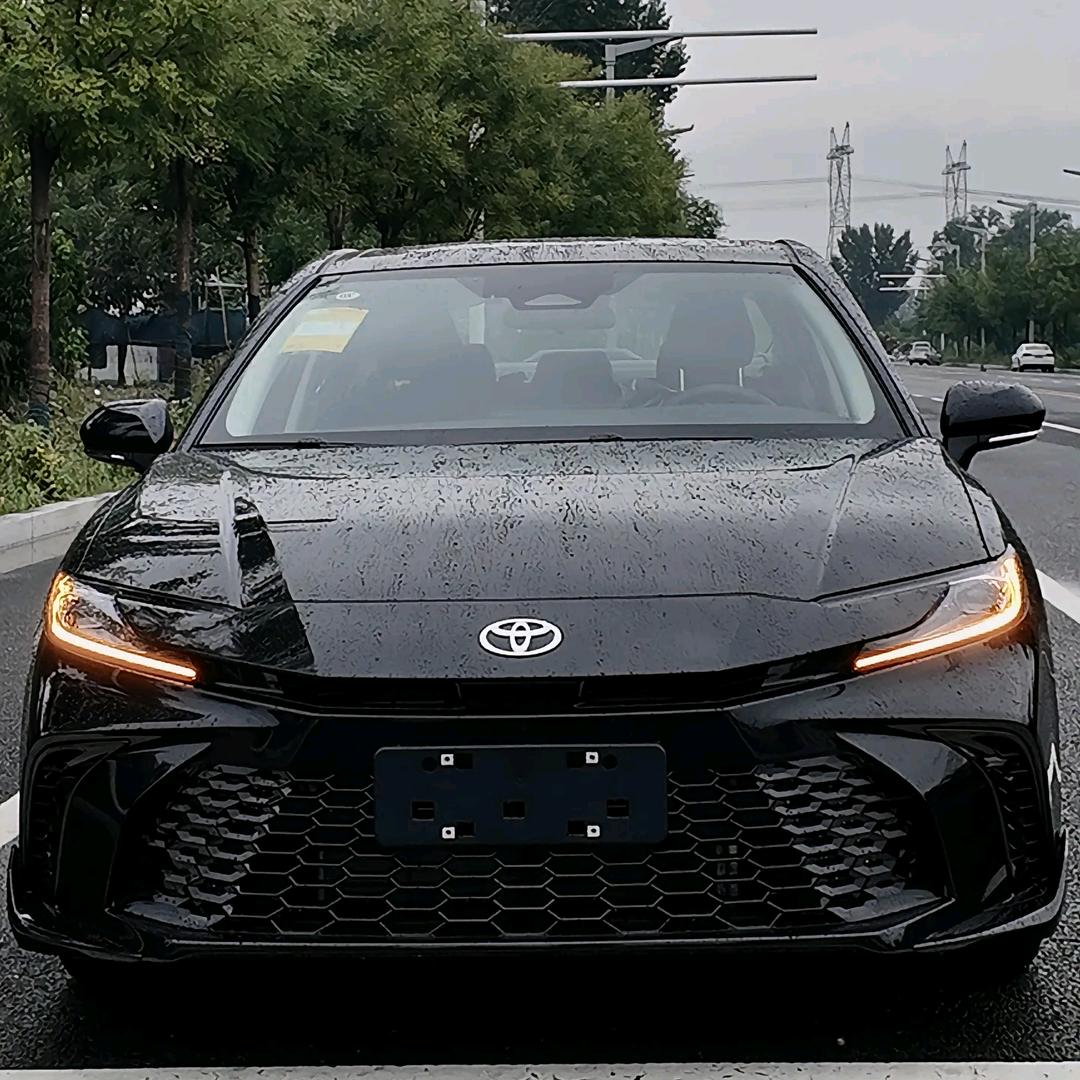 凯美端最新讲解