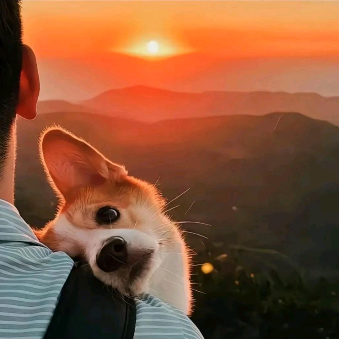 😞iyy迟遇.(沉淀版)