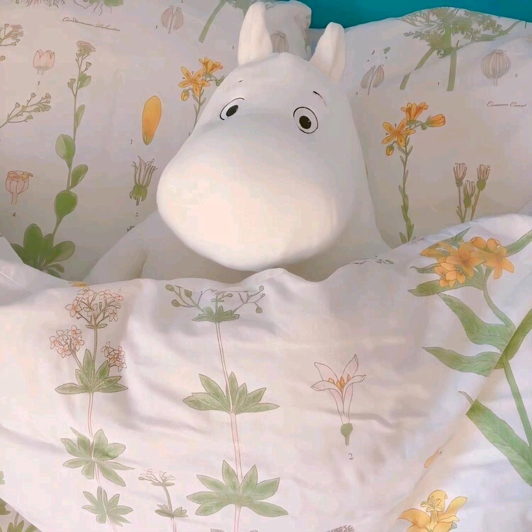 Y̶u̶n̶i̶🧃🫧U•ェ•*U