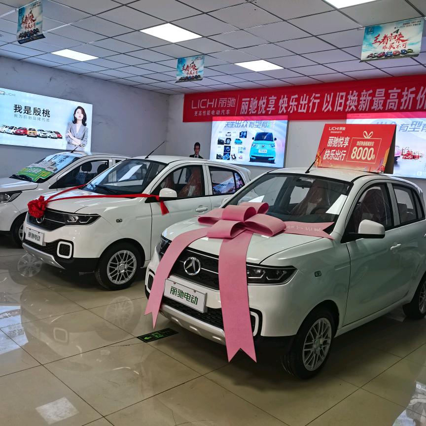 孟州丽驰电动汽车