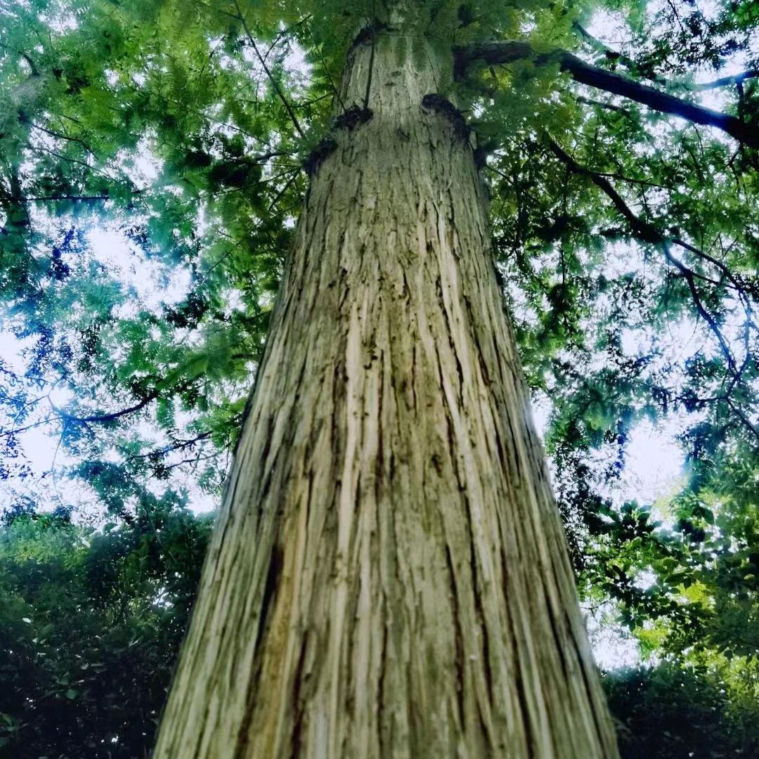 神仙沟边上的人
