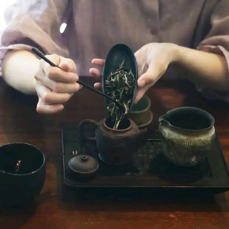 苏木讲茶