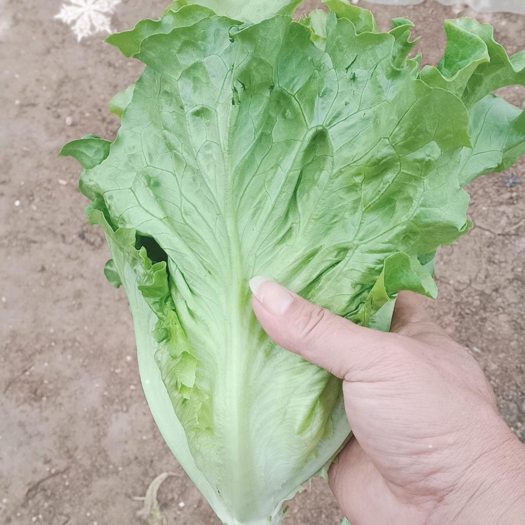 人生没有回头路