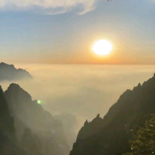 单身狗