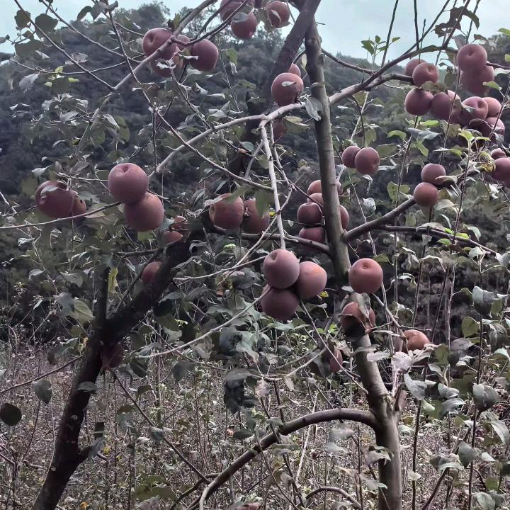 问心无愧