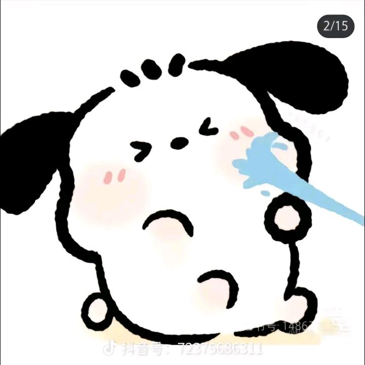 小骄傲前进📖