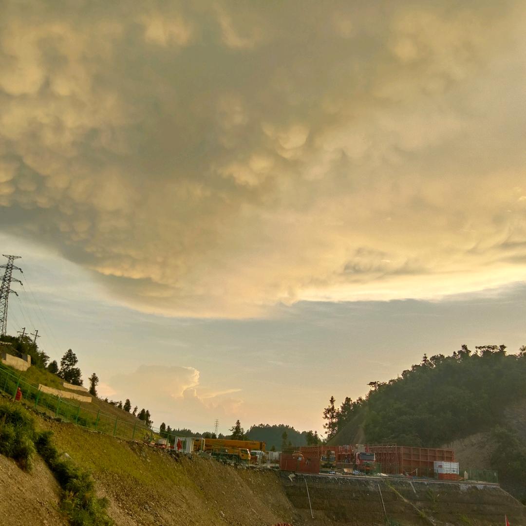 兔子上杨柳多宝山寨村