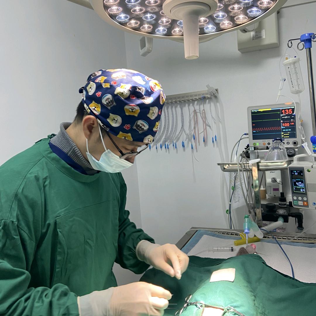 宠之家宠物医院PXPR