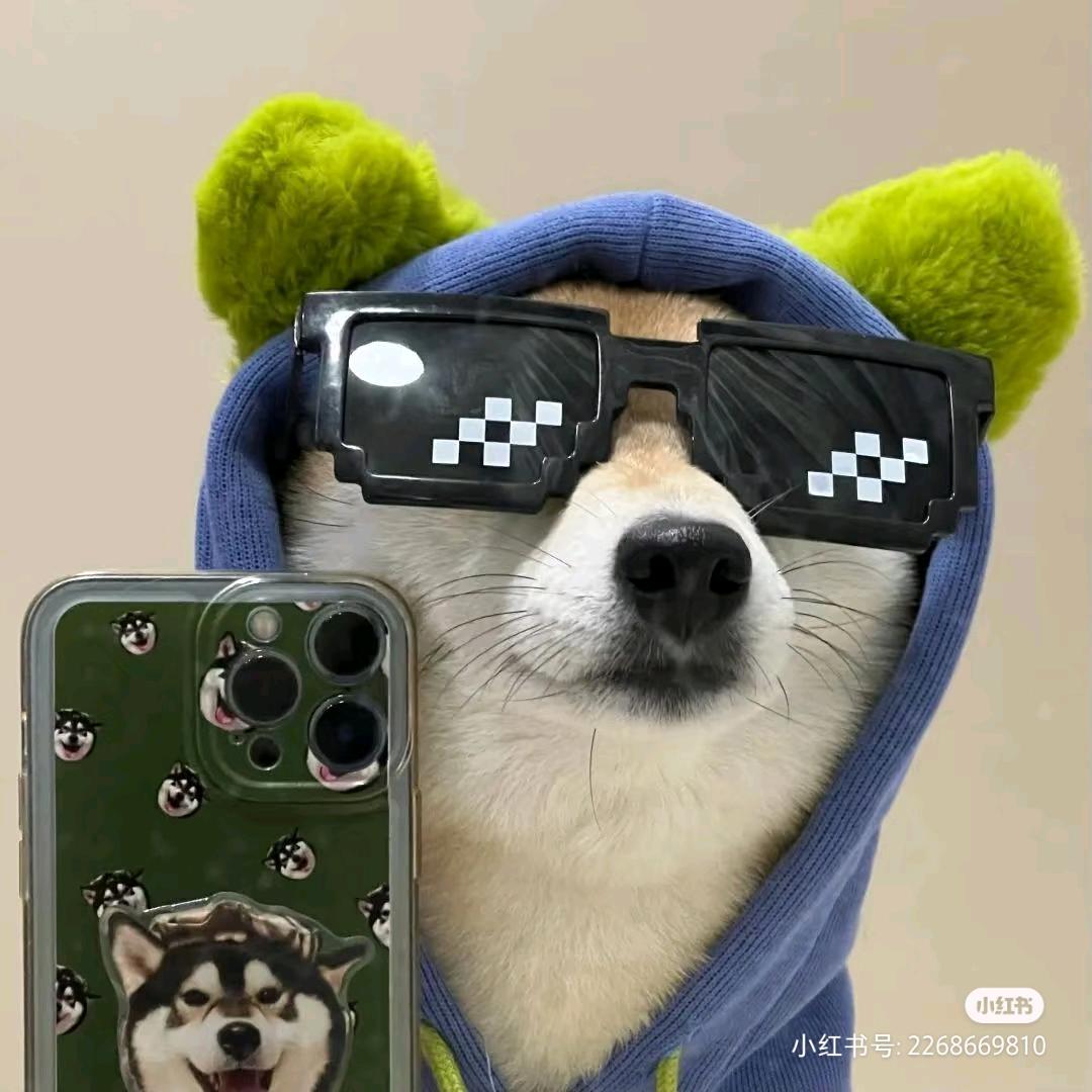 墨兰凌
