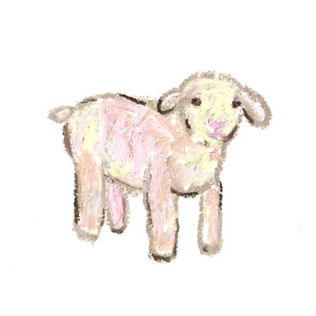 ꒰ঌ 小绵羊🐑 ໒꒱˚