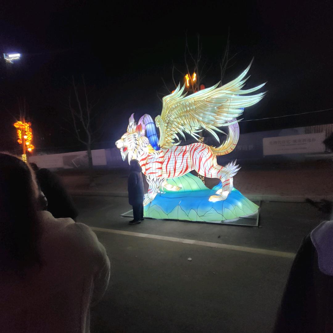 阅读
