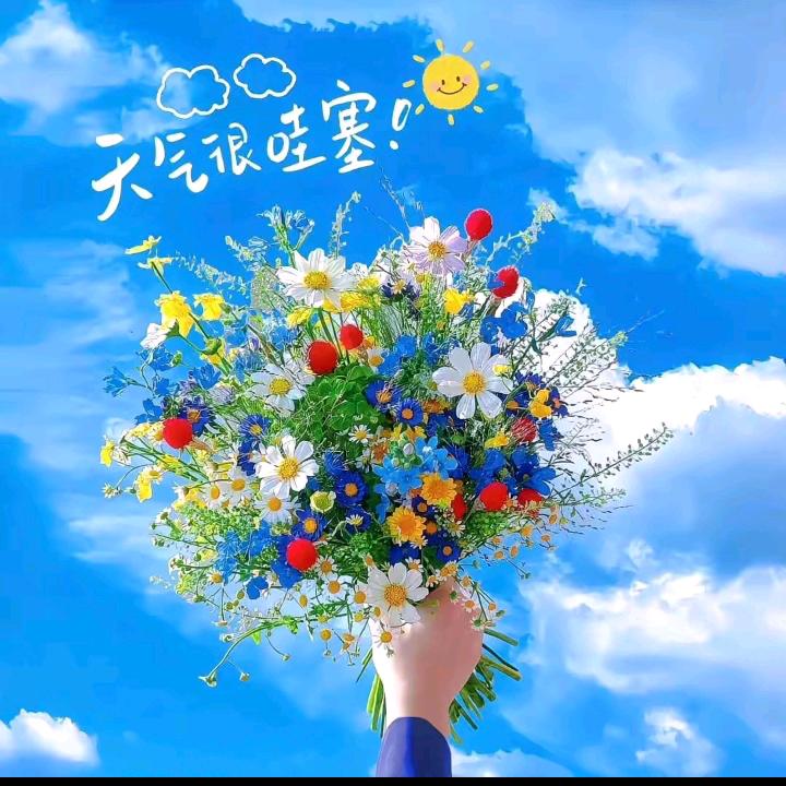 坐后面