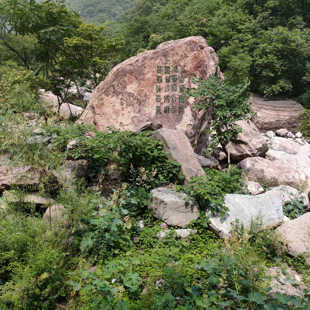 带刺~玫瑰