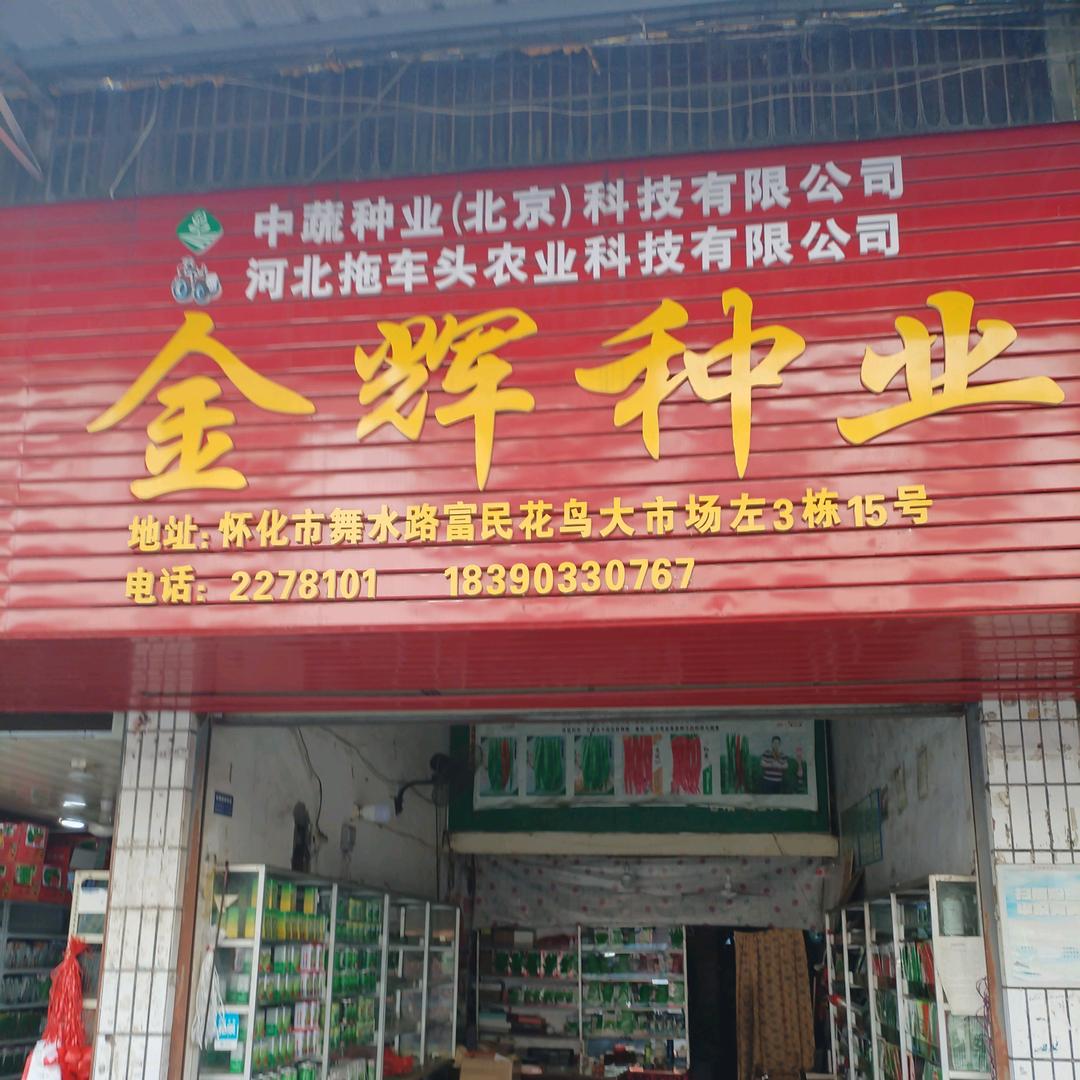 金辉种业