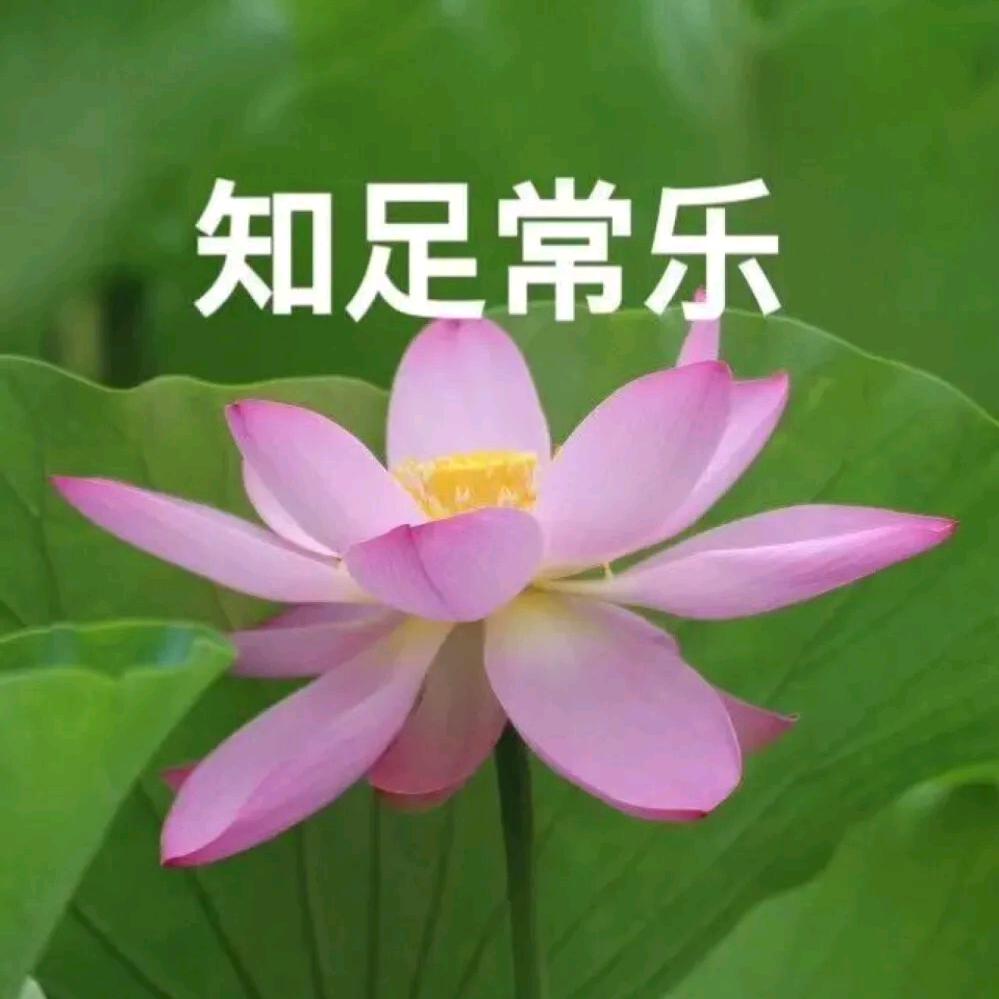 花开富贵，知足常乐