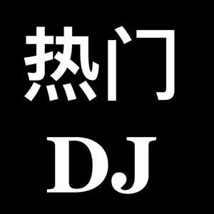 DJ音乐（优盘在橱窗）
