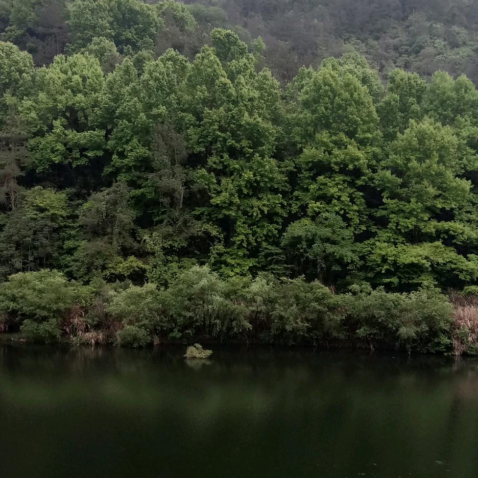 碧水清风