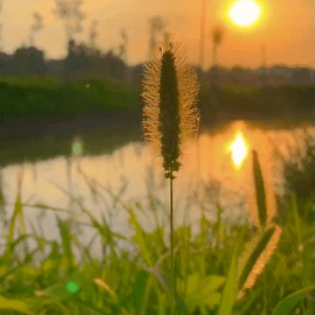 🍭换个姿势奔跑💞