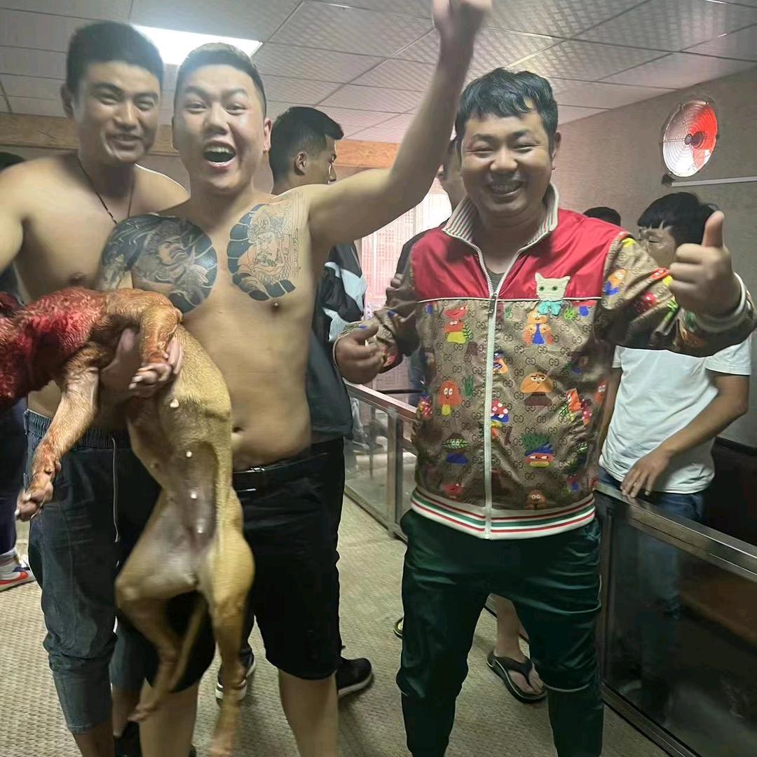 金刚霸道军团@蛋子