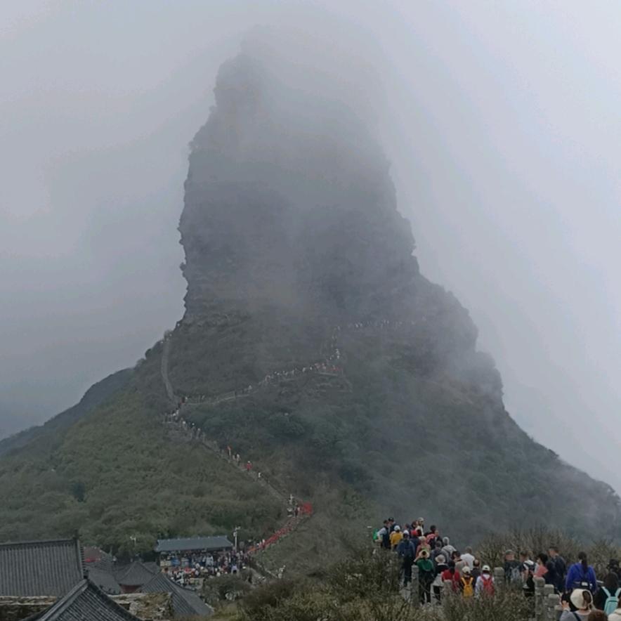 小康康