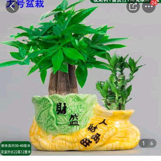 勇哥