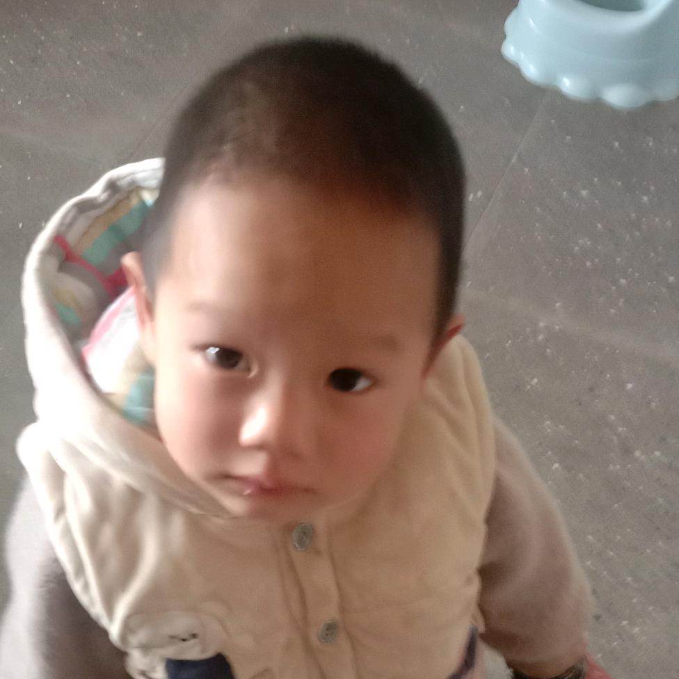 太阳温哥
