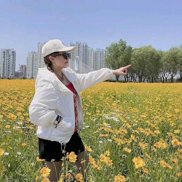 以画映心