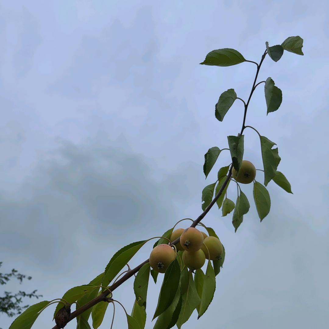 晨曦(•̀⌄•́)