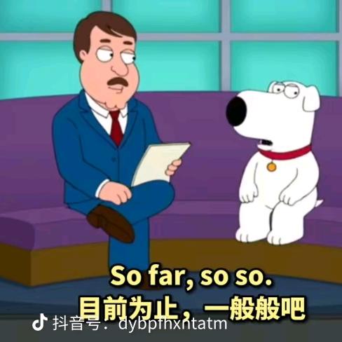 小雅( ｰ̀εｰ́ )