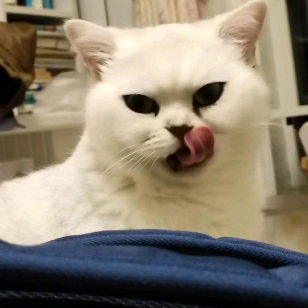 在修行