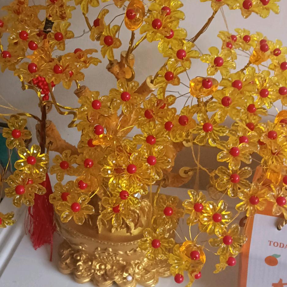 开心快乐！