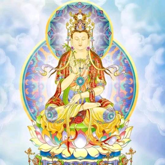 新❤️❤️❤️