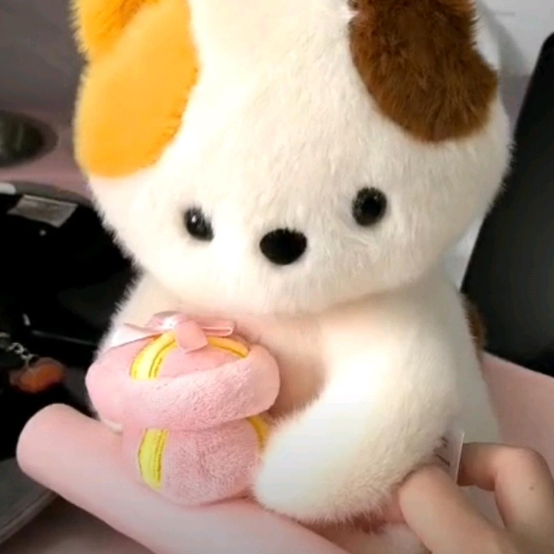 奶FU泡特仔🫧