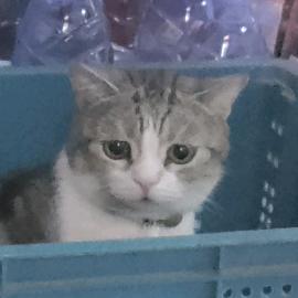 魔灵(•ิ_•ิ)