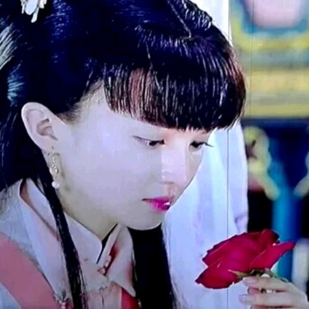 无奈雨季残花败