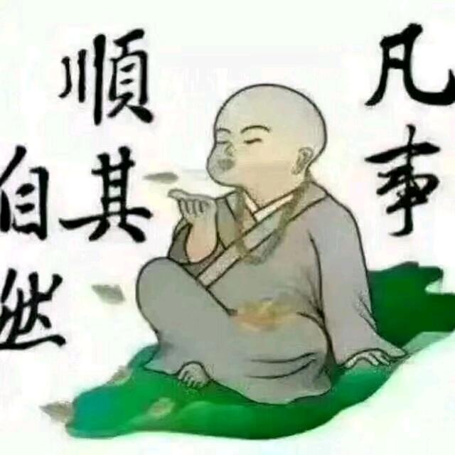 借风吻你
