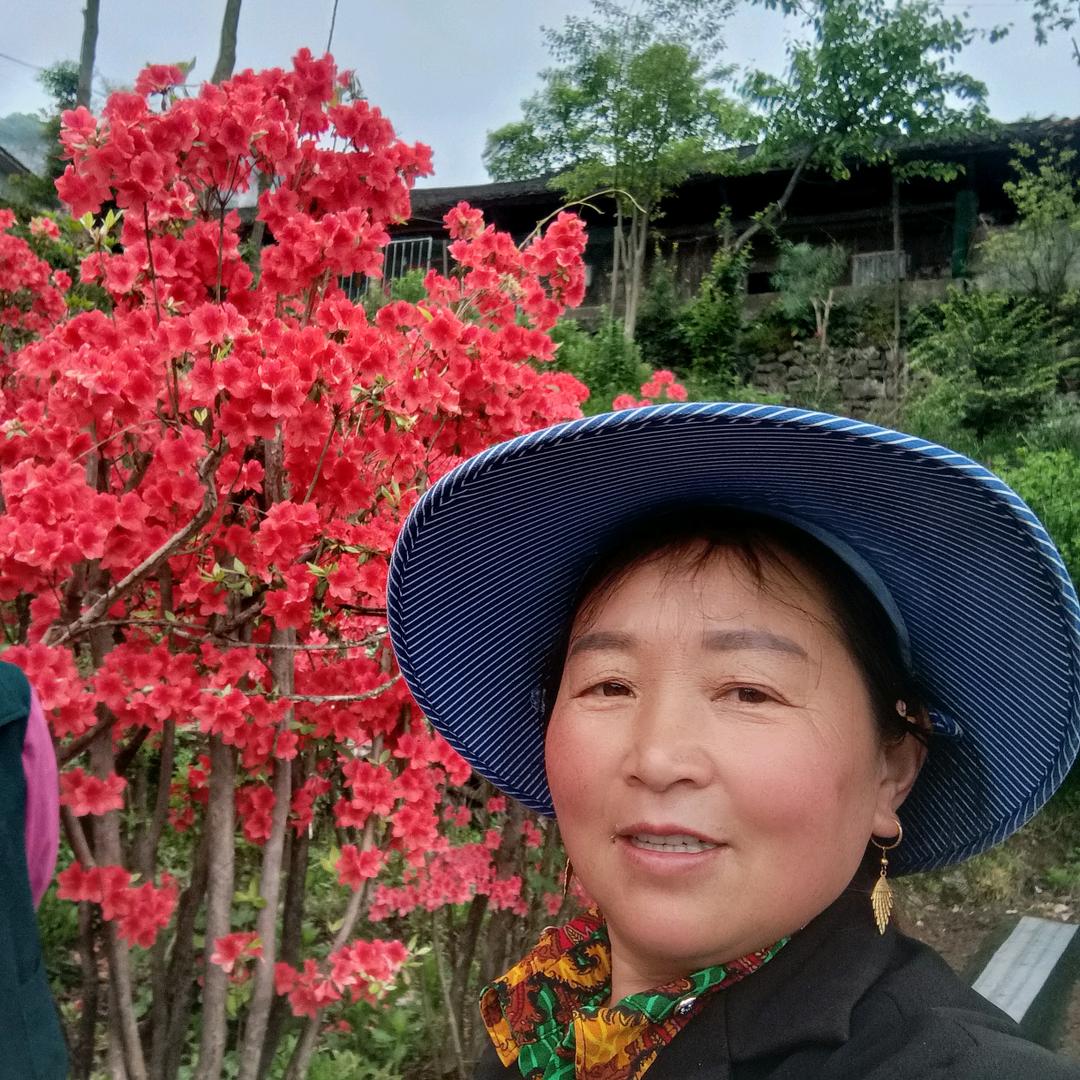 宋姐