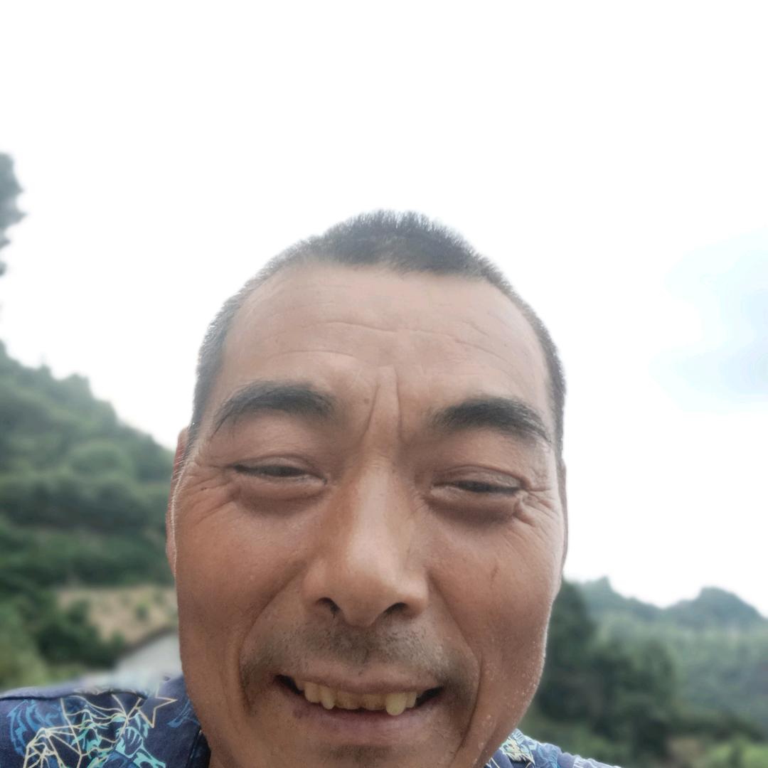 成天乐