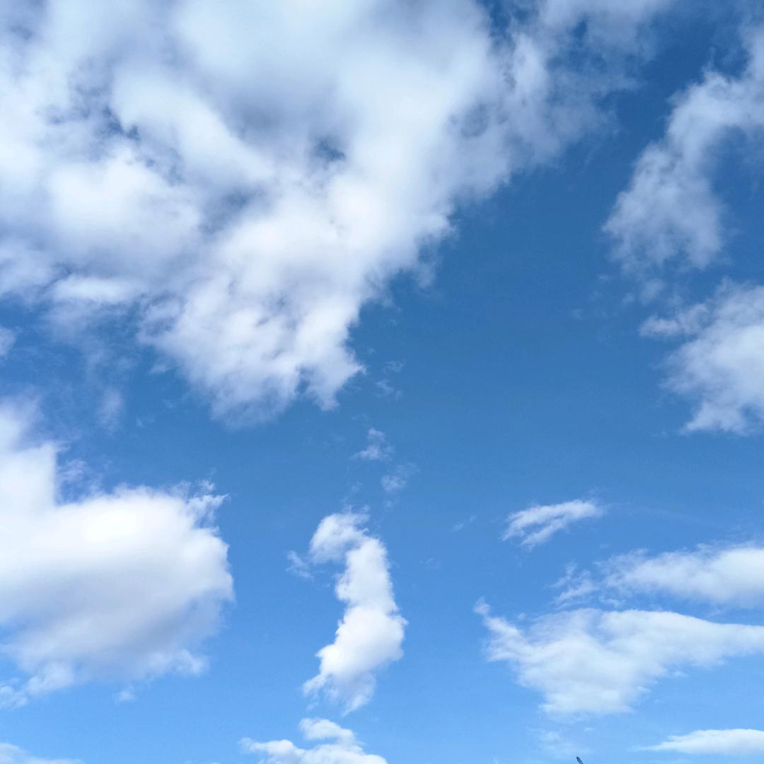 雨荷